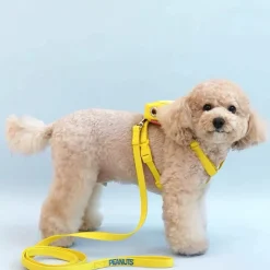 Dtopbuyage - sac à dos et laisse pour chien Sale