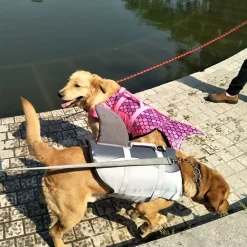 Dtopbuyage - vestes de sauvetage pour chiens Sale