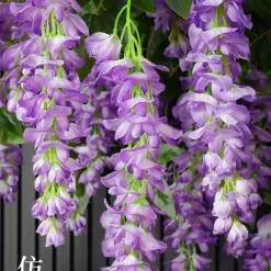 Dtopbuyage - Fleurs artificielles de glycine et de cassia fistula pour décoration du plafond violet*2 Clearance
