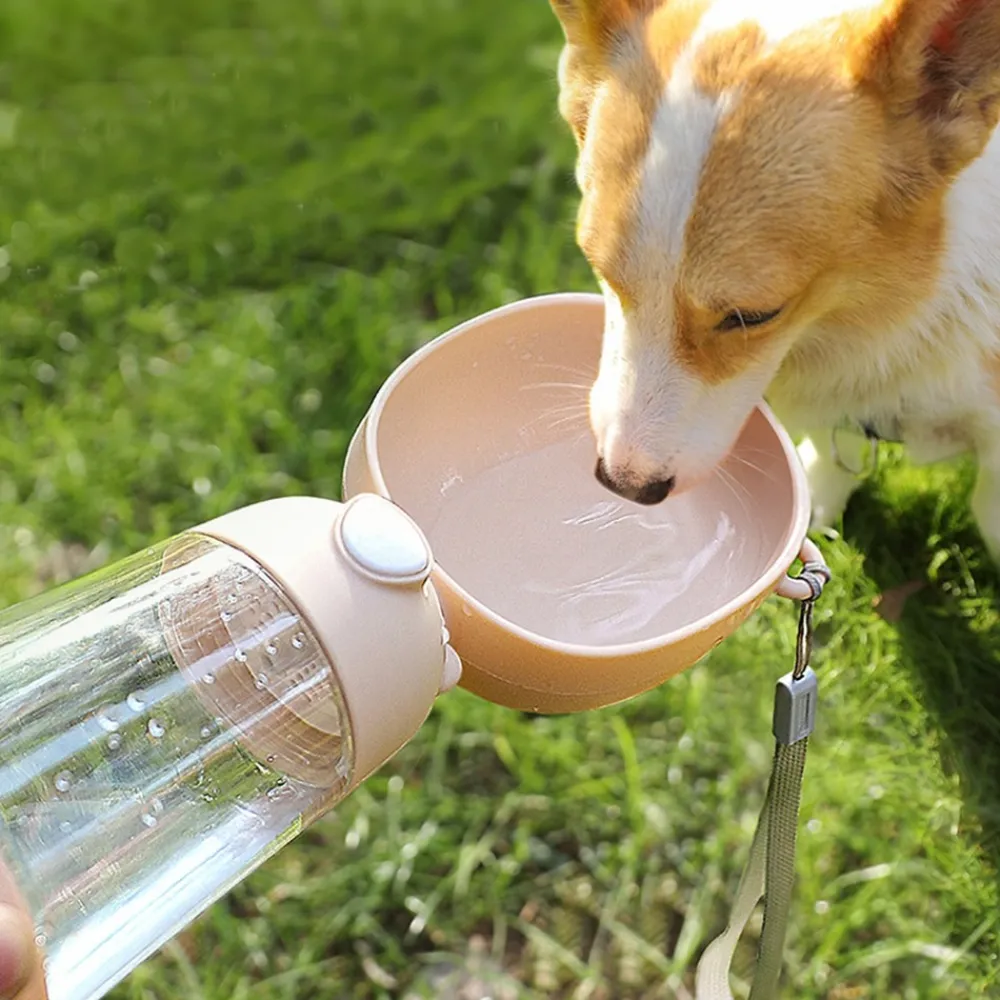 Dtopbuyage - Gobelet à eau multifonctionnel pour chien Best