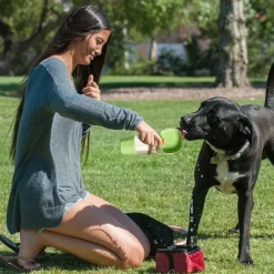 Dtopbuyage Gamelles Et Autres Accessoires | - Gobelets et distributeur d'eau pour animaux