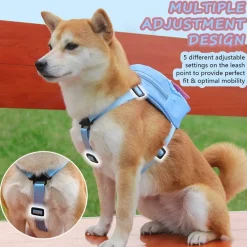 Dtopbuyage - Harnais pour chien avec sac à dos - bleu Outlet