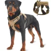 Dtopbuyage - Harnais pour chien Sale