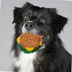 Dtopbuyage Jouets | - Jouet couineur en peluche pour chien