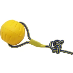 Dtopbuyage Jouets | - Jouet interactif pour chien eva