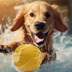 Dtopbuyage Jouets | - Jouet interactif pour chien eva