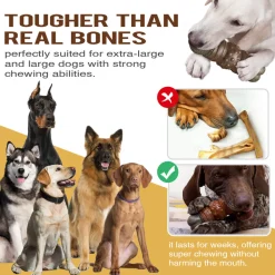 Dtopbuyage Jouets | - Jouets à mâcher pour chien indestructibles, résistants