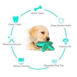 Dtopbuyage Jouets | - Jouets pour chien en forme d'étoile de mer