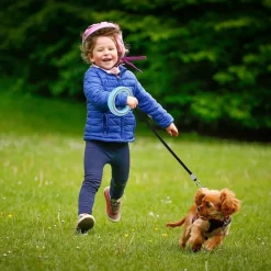 Dtopbuyage - Laisse enrouleur 360 degrés sans noeud pour petits et moyens chiens Discount