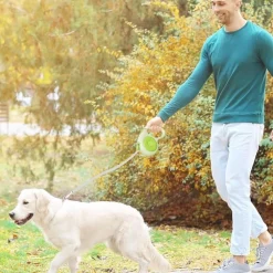 Dtopbuyage - Laisse rétractable antidérapante pour chiens Best