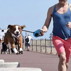 Dtopbuyage - Laisse rétractable 5m bleue pour chien Discount
