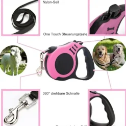Dtopbuyage - Laisse rétractable 5m rose pour chien Hot