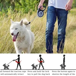 Dtopbuyage - Laisse rétractable 5 m pour chiens petit moyen taille bleu Discount