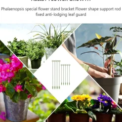 Dtopbuyage Pots, Jardinières Et Carrés Potagers | - Lot de 10 tuteurs pour plantes intérieures 17cm