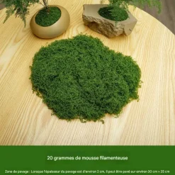 Dtopbuyage - Mousse artificielle pour décoration de jardin pack de 2 Clearance