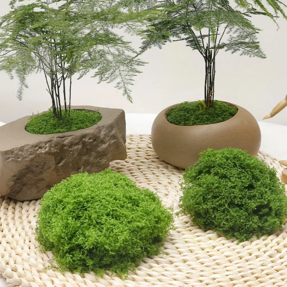 Dtopbuyage - Mousse artificielle pour décoration de jardin pack de 2 Clearance