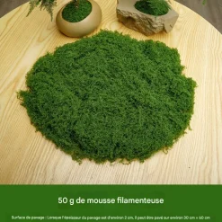 Dtopbuyage - Mousse artificielle pour décoration de jardin pack de 2 Sale