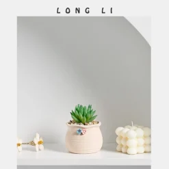 Dtopbuyage - Pot de fleurs succulentes en céramique Sale