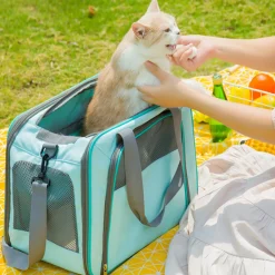 Dtopbuyage - Sac pour animaux de compagnie portable Discount
