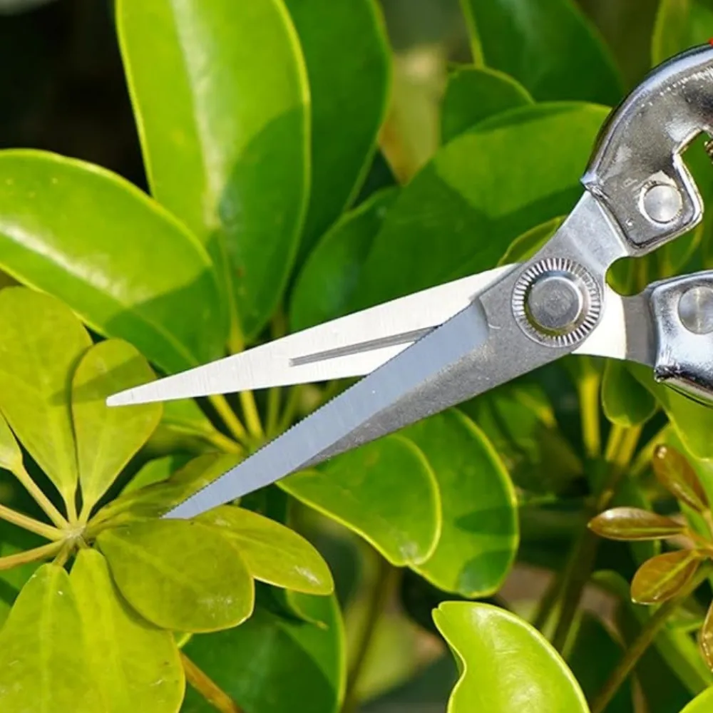 Dtopbuyage Outils De Jardinage Et Accessoires | - Sécateur rouge pour taille branches et fleurs