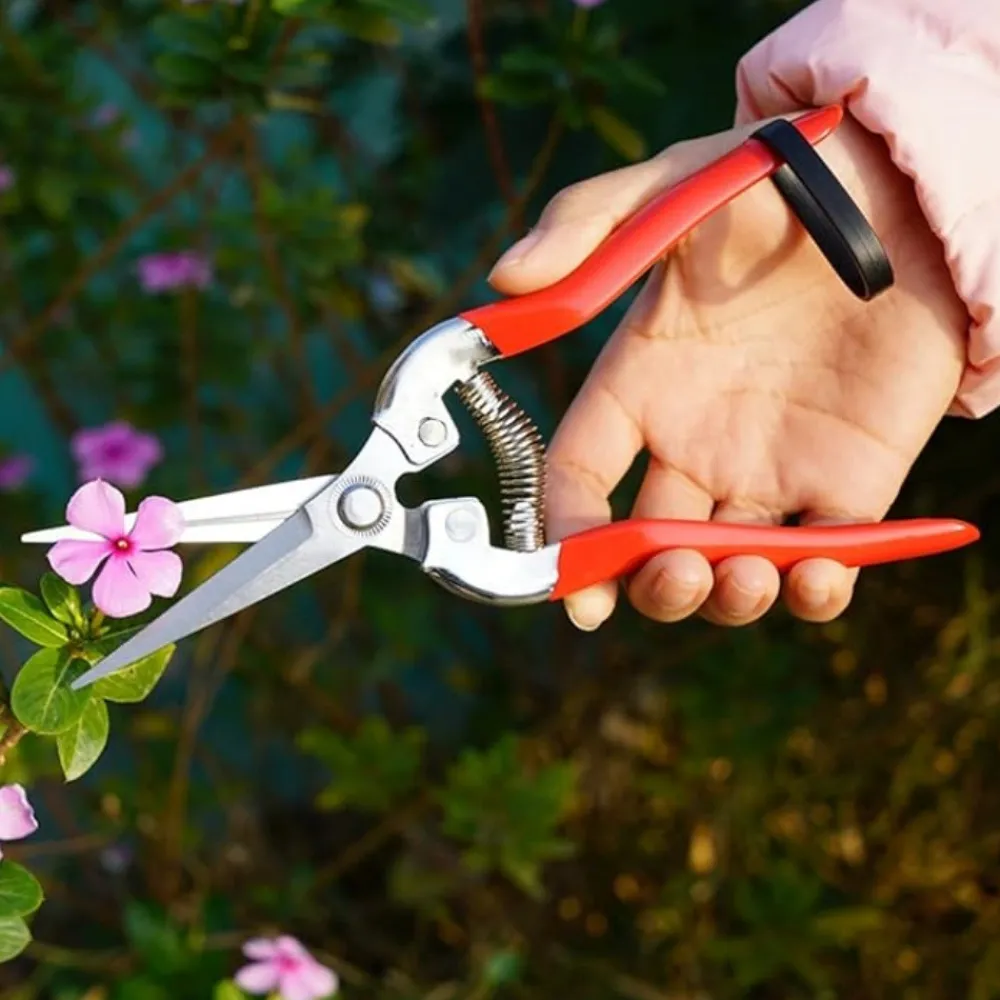 Dtopbuyage Outils De Jardinage Et Accessoires | - Sécateur rouge pour taille branches et fleurs