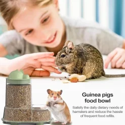 Dtopbuyage Cages Et Accessoires | - Station alimentation transparente petits animaux