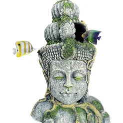 Dtopbuyage - Statue tête bouddha déco aquarium Outlet