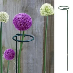 Dtopbuyage Pots, Jardinières Et Carrés Potagers | - Supports pour fleurs en fer forgé 30cm, 10 pièces
