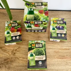 Ecodis Anti-Nuisibles | - Attractif pyrale du buis bio