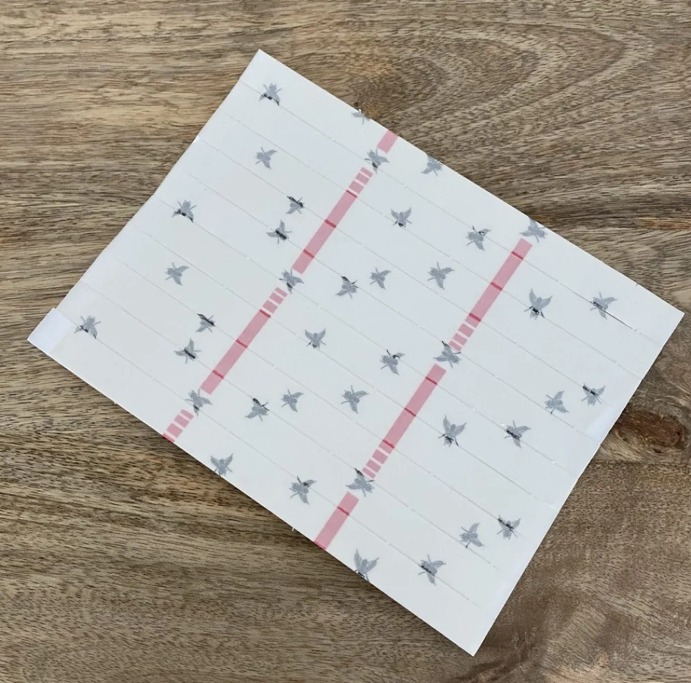 Ecodis - 10 bandes attrape-mouches Hot