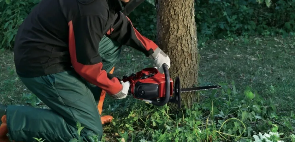 Einhell Taille-Haies, Tronçonneuses Et Élagueuses | - Tronçonneuse thermique gc-pc 2040 i