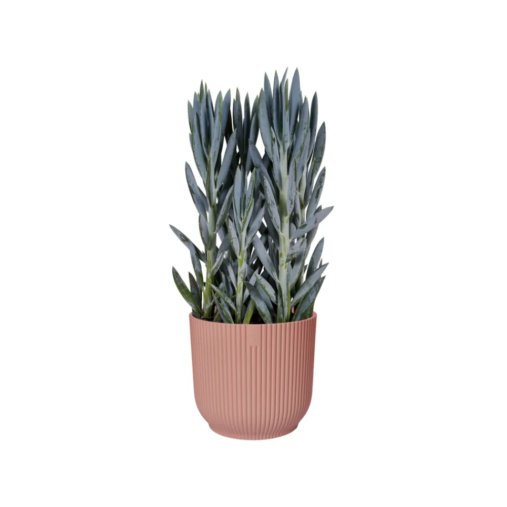 Elho - Cache-pot "Vibes fold", coloris rose poudré - D.22cm Hot
