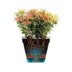 Elho - Pot Loft rond haut, coloris rouge théâtre - D.33,5xH.45,3cm