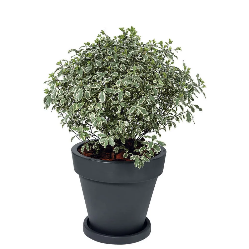 Elho Pots Et Jardinières | - Pot Pure Round en plastique rotomoulé anthracite - D.39,5 cm
