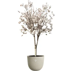 Elho Cache-Pots Et Bacs D'Intérieur|Pots Et Jardinières | - Pot Sereh rond, coloris beige champignon - D.47xH.40,1cm