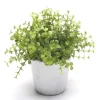 Emerald - Eucalyptus, dans pot blanc Ø 10 cm Discount