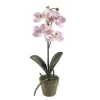 Emerald - Orchidée mini, rose H. 25 cm, en pot Sale