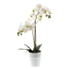Emerald Fleurs Et Plantes Artificielles | - Pot de Phalaenopsis artificiel, blanc 65cm
