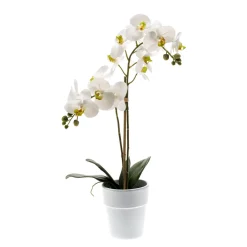 Emerald Fleurs Et Plantes Artificielles | - Pot de Phalaenopsis artificiel, blanc 65cm
