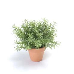 Emerald Fleurs Et Plantes Artificielles | - Romarin, en pot terra cotta Ø 9 cm