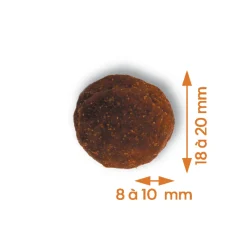 Empreintes - Croquettes Chien stérilisé grande taille au poulet sans céréales 12kg Outlet