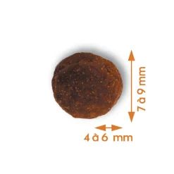 Empreintes - Croquettes pour chiot de petite taille au poulet sans céréales 3kg Clearance