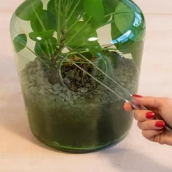 Esschert Design Terrariums Et Compositions | - Pince pour terrarium en acier extra longue