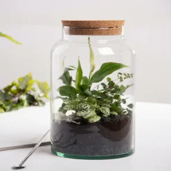 Esschert Design Terrariums Et Compositions | - Pot pour terrarium 32 cm