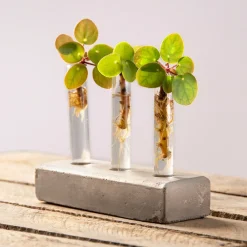 Esschert Design - Vases en tube à essai socle en béton Online