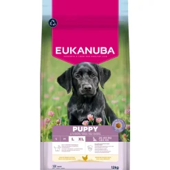 Eukanuba Alimentation Et Friandises | - Croquettes au poulet, pour chiot de grande taille - 12kg