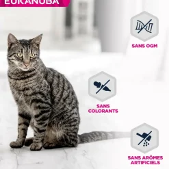 Eukanuba Alimentation Et Friandises | - - chat adulte - sans céréales - pâtée agneau 85 g