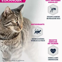 Eukanuba Alimentation Et Friandises | - - chat adulte - sans céréales - pâtée agneau 85 g