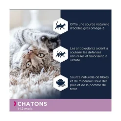 Eukanuba Alimentation Et Friandises | - - croquettes sans céréales au saumon pour chaton 2kg