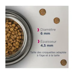 Eukanuba Alimentation Et Friandises | - - croquettes sans céréales au saumon pour chaton 2kg